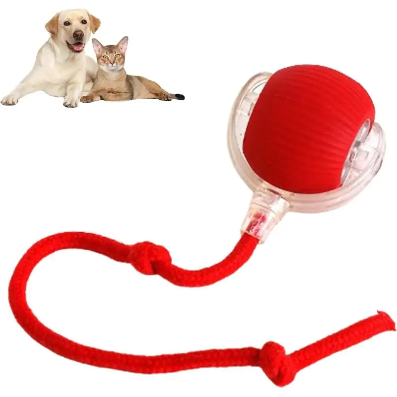 360 Spin Pet Play Ball