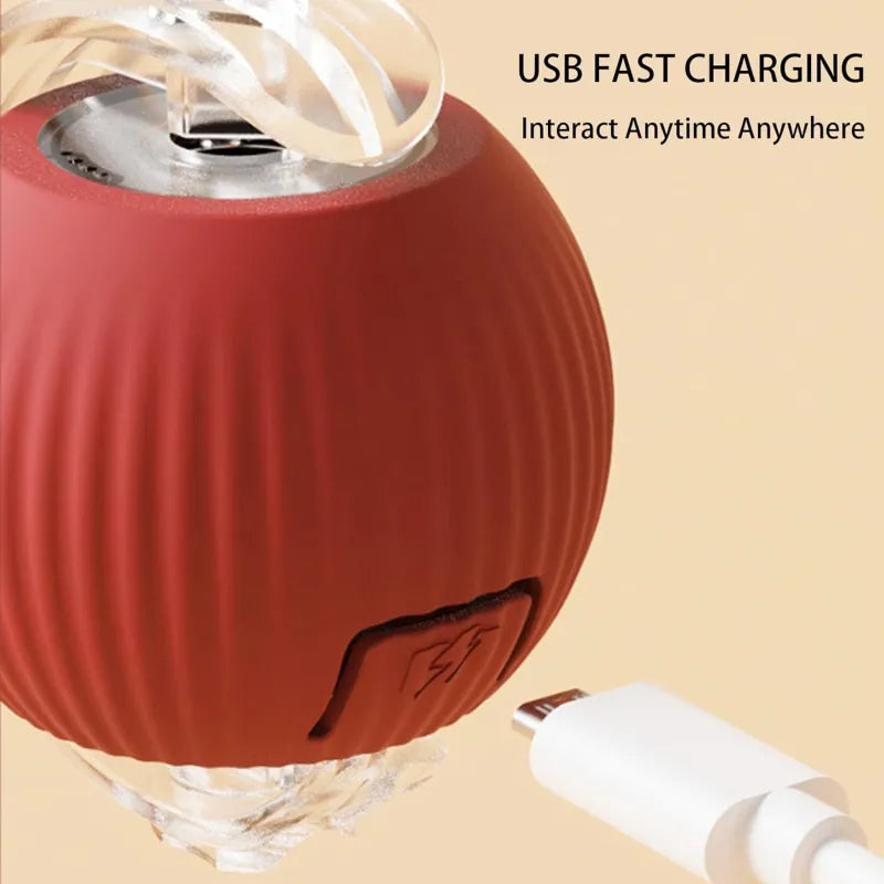 360 Spin Pet Play Ball