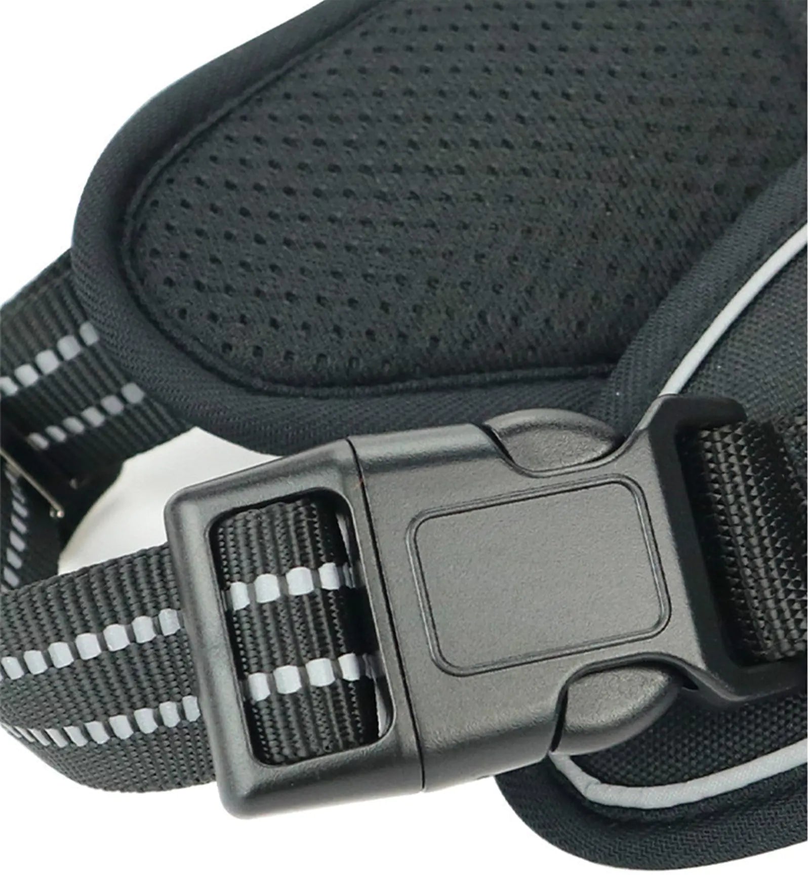 Sturdy Weatherproof Adventure Harness