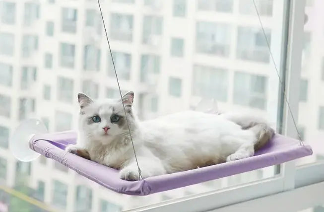 Cat Perch Window Hammock