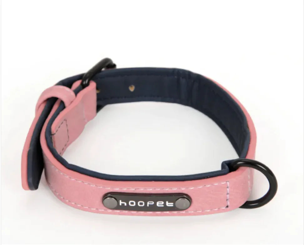 Flexible Dog Collar & Leash Combo