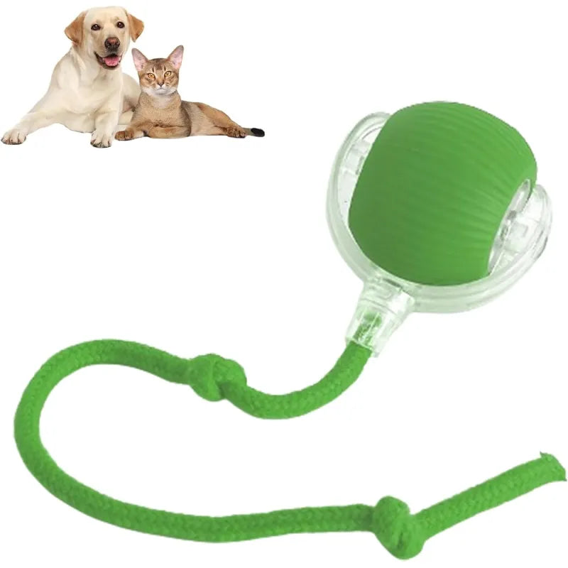 360 Spin Pet Play Ball