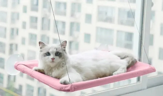 Cat Perch Window Hammock