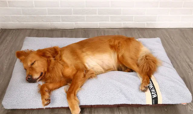 Cozy Critter Cushion