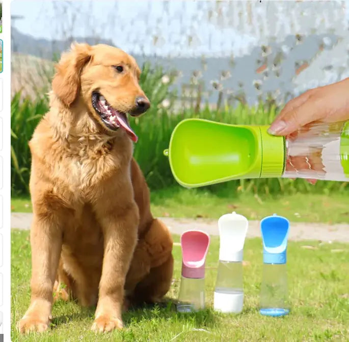 Pet Hydration On-the-Go Bottle