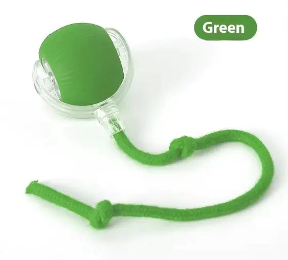 Speedy Pounce Cat Ball