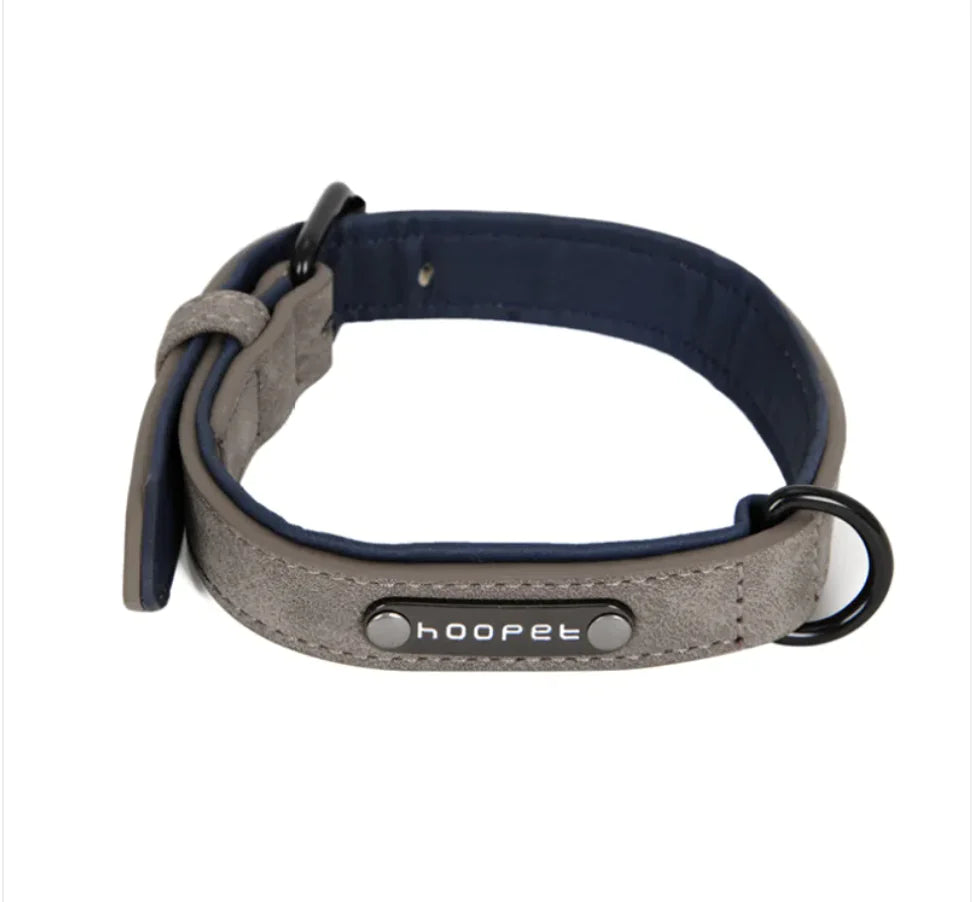 Flexible Dog Collar & Leash Combo