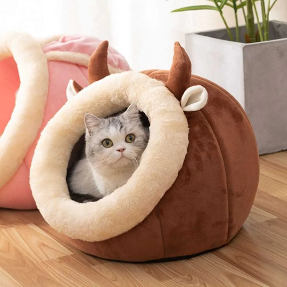 Snug Kitty Haven