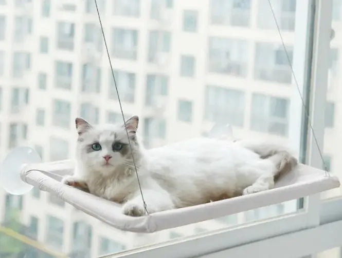 Cat Perch Window Hammock