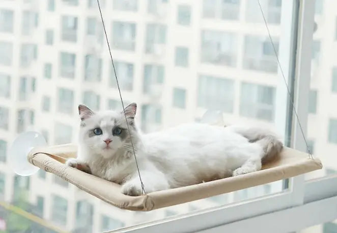 Cat Perch Window Hammock
