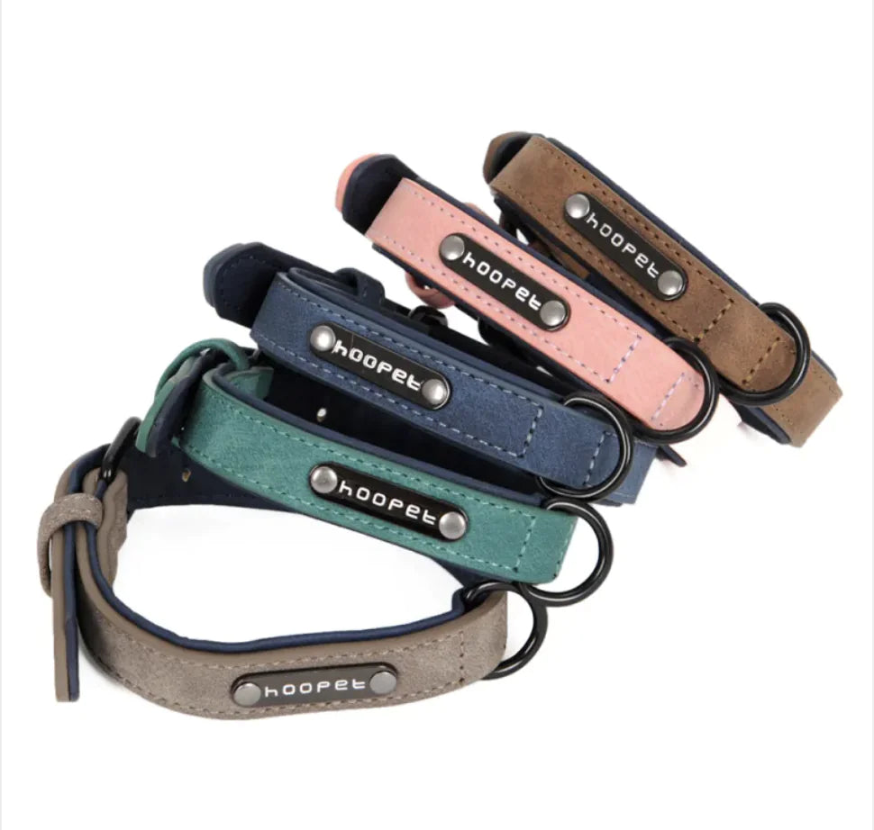 Flexible Dog Collar & Leash Combo