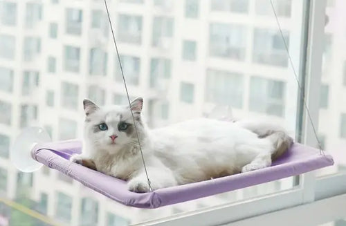 Cat Perch Window Hammock