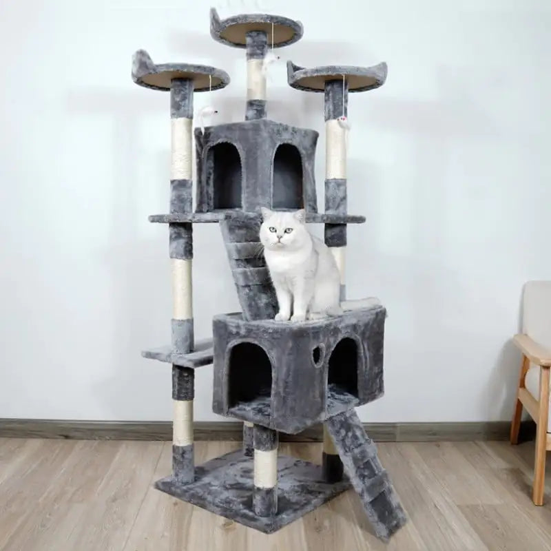 Feline Adventure Tower