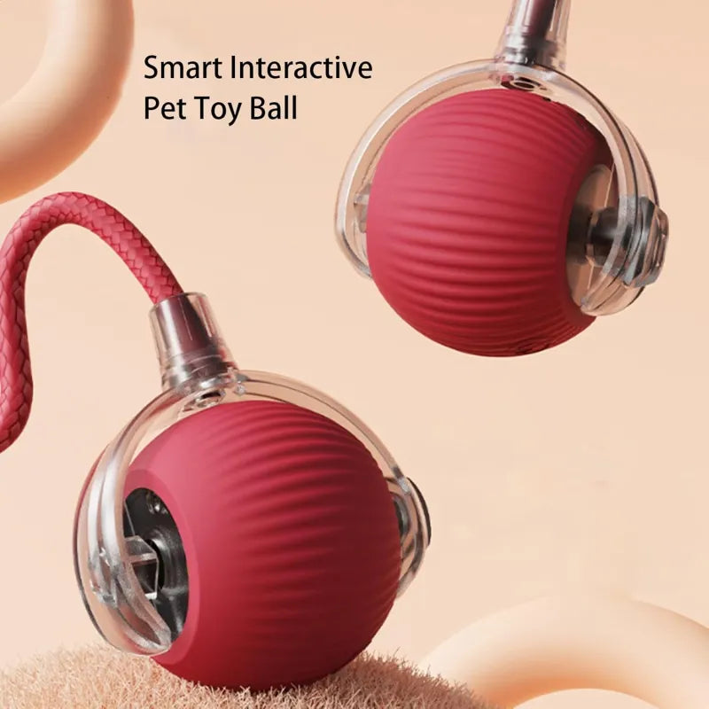360 Spin Pet Play Ball
