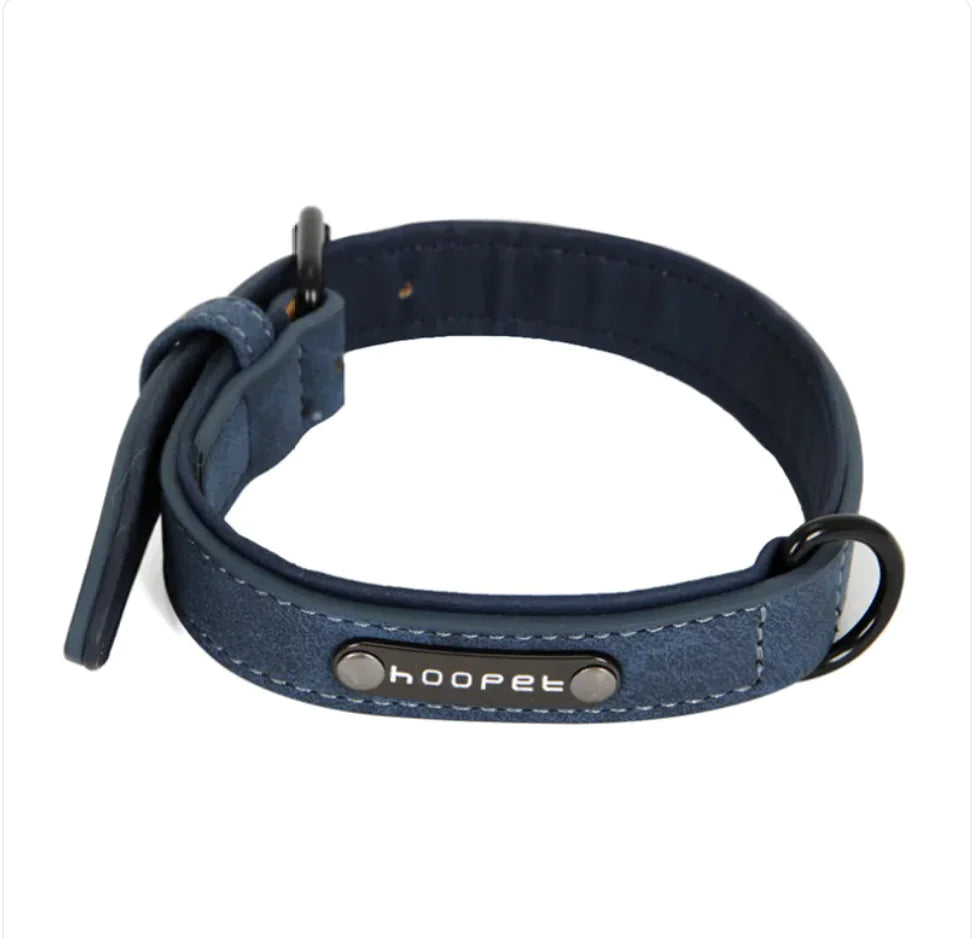 Flexible Dog Collar & Leash Combo