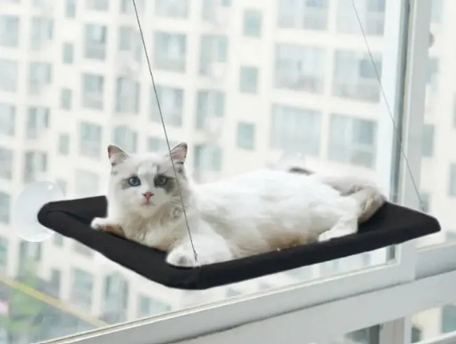 Cat Perch Window Hammock