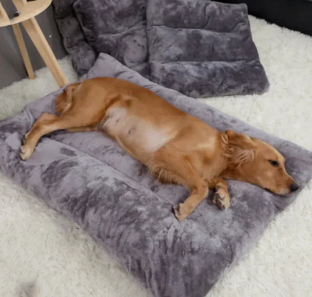 Cozy Critter Cushion